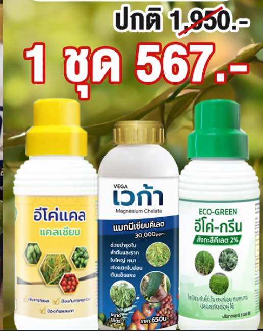 เร่งโตพืช เร่งดอก ดอกดก 3สหาย พืชโตไว (เวก้าน้ำเงิน+อีโค่กรีน+อีโค่แคล) ราคา 1,190 บาท*ส่งฟรี