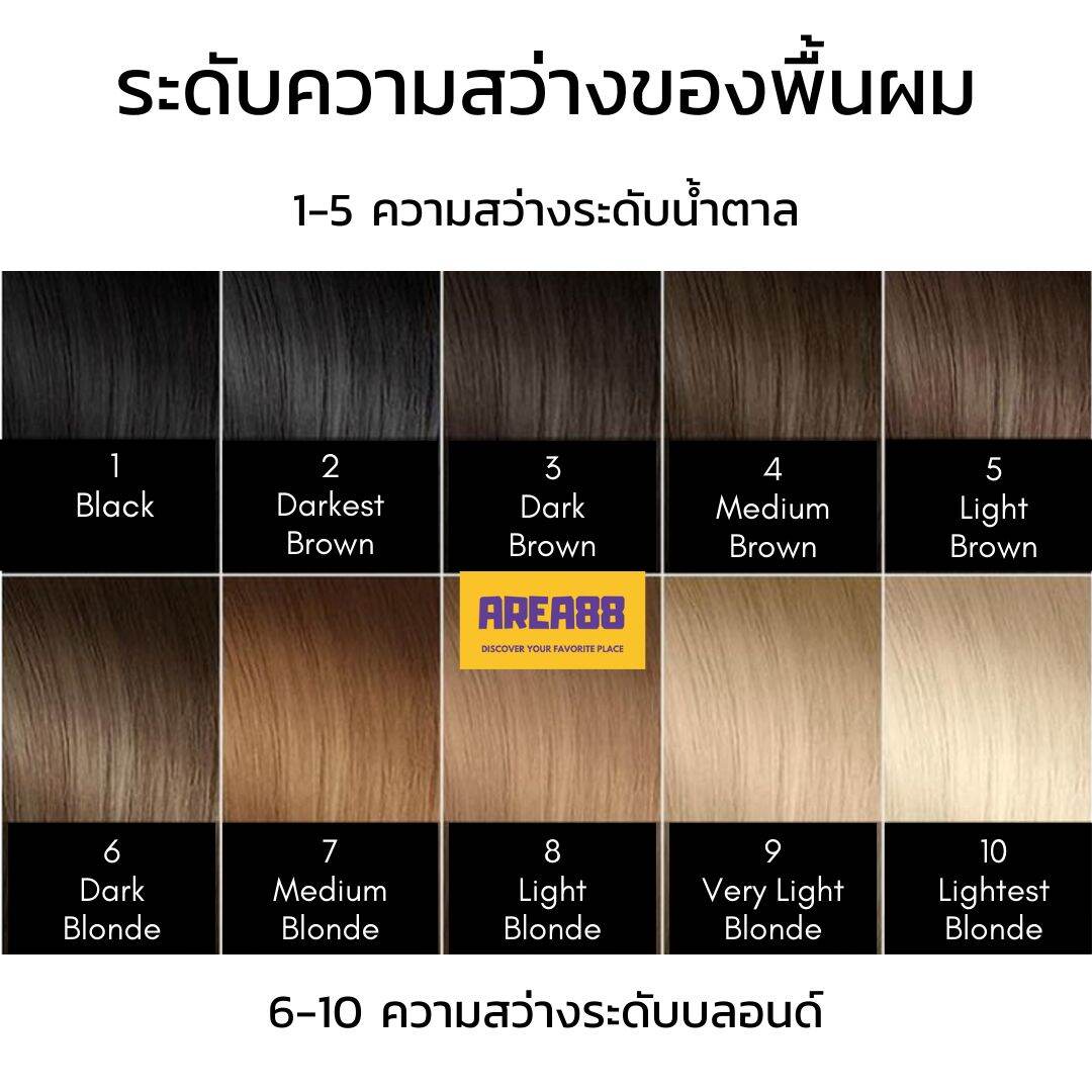 ครีมเปลี่ยนสีผม ครีมปิดผมขาว สีน้ำตาลหม่น สีน้ำตาลหม่นเทา Light Ash Brown  Hair Color Grey Coverage ครีมย้อมผม สีย้อมผม ยาย้อมผม ปิดหงอก ครีมย้อมผม  เบอริน่า สีปิดหงอก สีปิดผมขาว ปิดหงอกสีแฟชั่น สีผมปิดหงอก ทำสีแฟชั่น ปิดผมขาว  ปิดผมหงอก ไม่ฟอก ไม่กัด ...