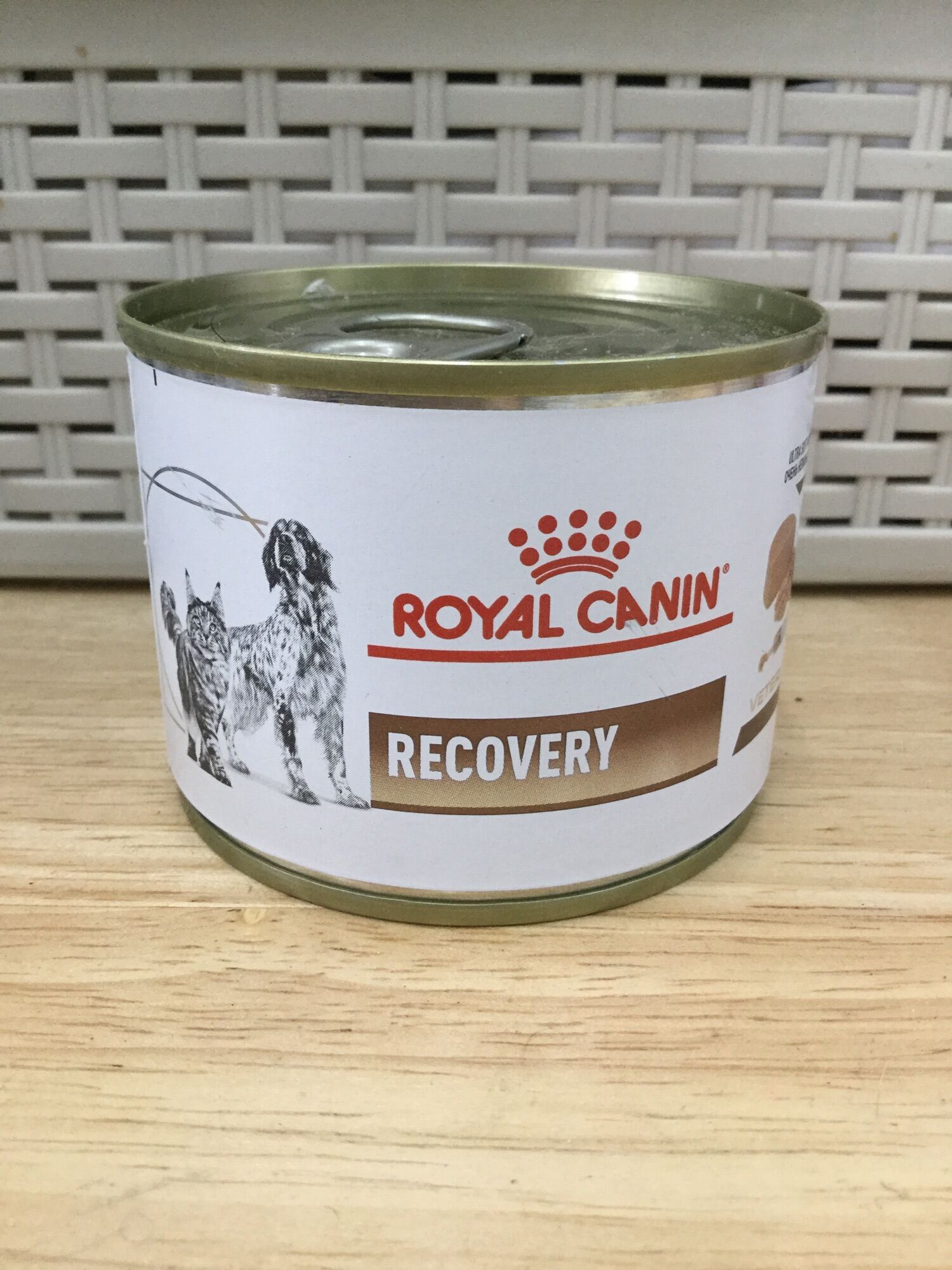 Royal Canin Recovery อาหารสูตรเข้มข้นสำหรับสัตว์ป่วย