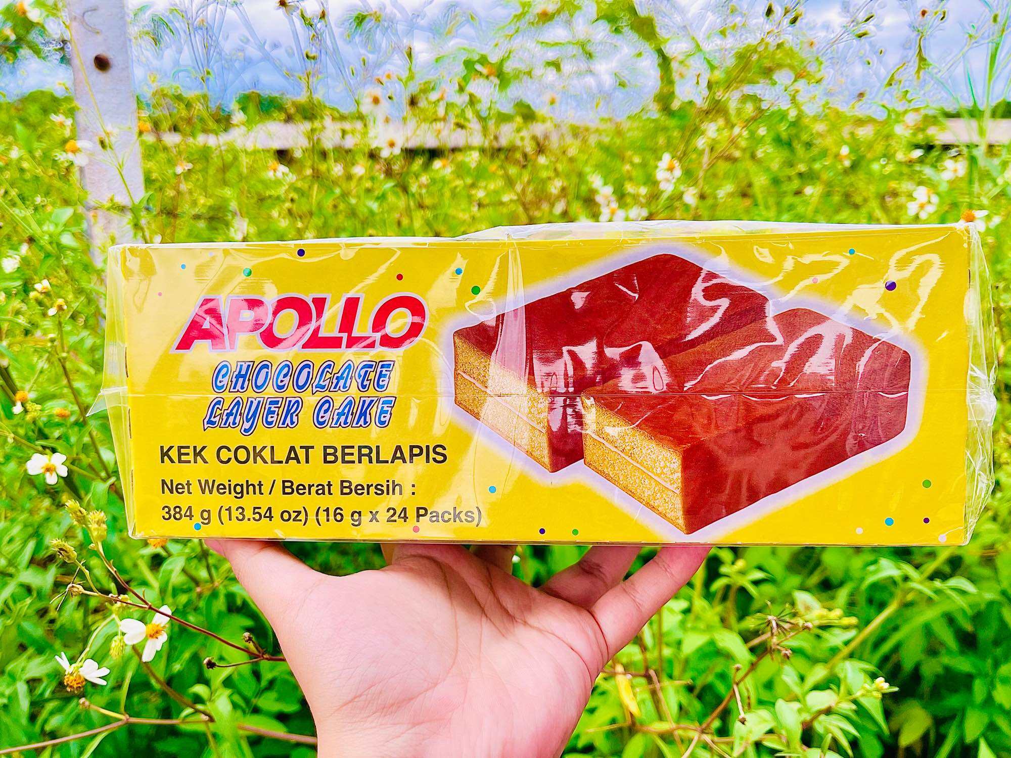 Apollo cake chocolate อาพอลโล่เค้กช็อคโกแล็ต 1กล่องมี 24 ชิ้น | Lazada ...