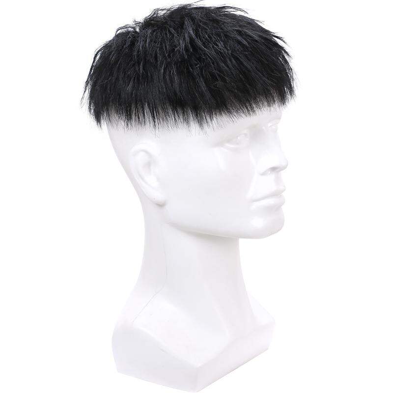 BEIERXIU | Pouf Top Real Human Hair Men's Wig Curl Perm ราคา 2,452 บาท*ส่งฟรี