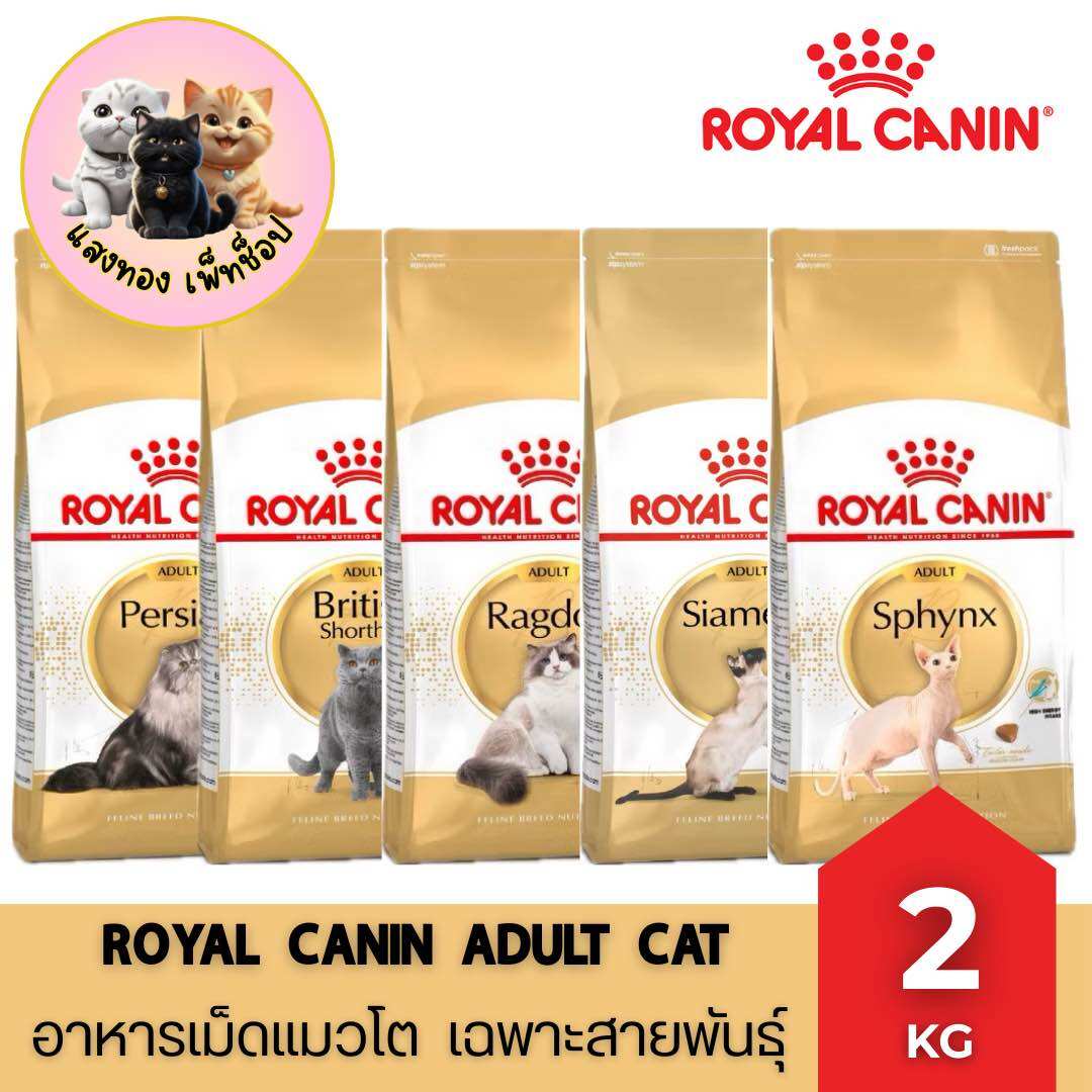 Royal Canin Cat Food, a Formula Specifically for Cats by Breed and Senior Cats, Size 2 Kg. ราคา 920 บาท*ส่งฟรี