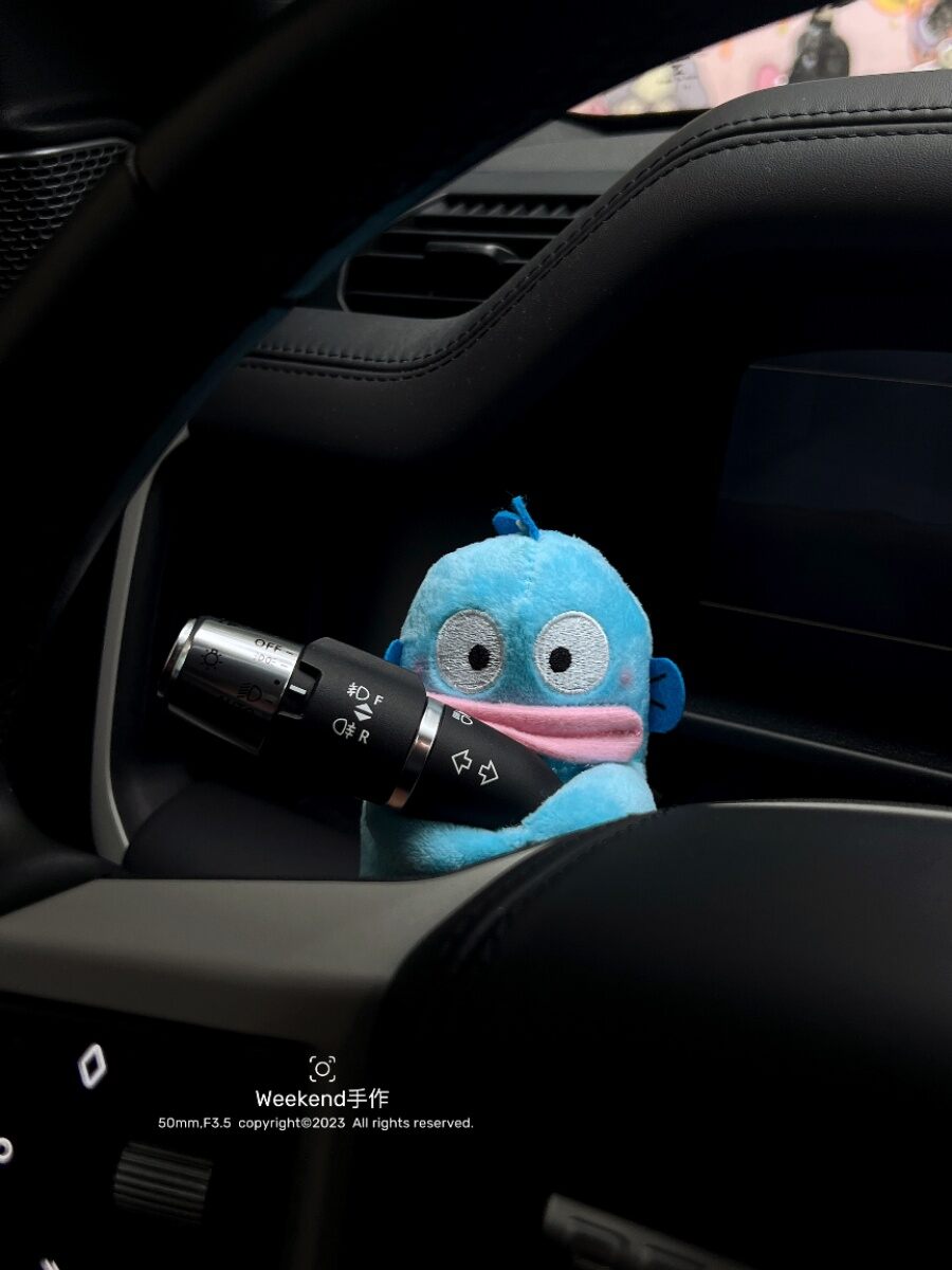 JIXUN | Decorative Car Accessory ราคา 245 บาท*ส่งฟรี