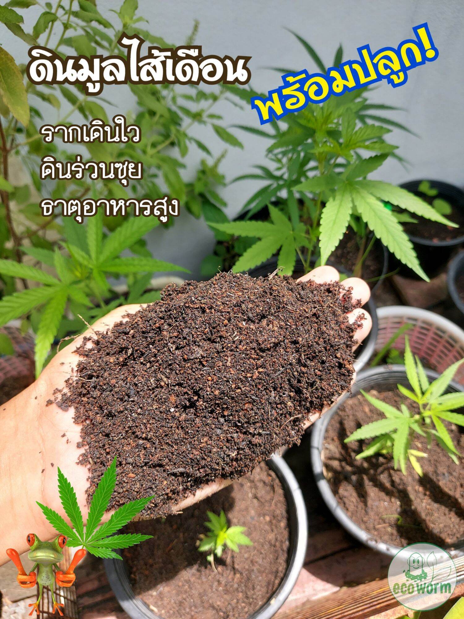 ดินพร้อมปลูก สายเขียว Soil for planting 🙏มีโค๊ดลด-ไม่บวกน้ำหนัก❌