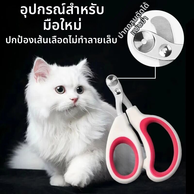 กรรไกรตัดเล็บแมว