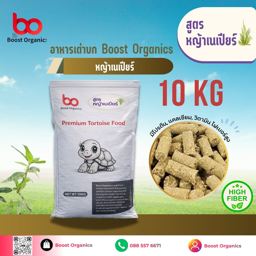 “Land Turtle Food, Neper Grass Formula, Boost Organics, High in Fiber, Helps Digestion, Good Defecation, Turtles Enjoy Eating It, 10 kg