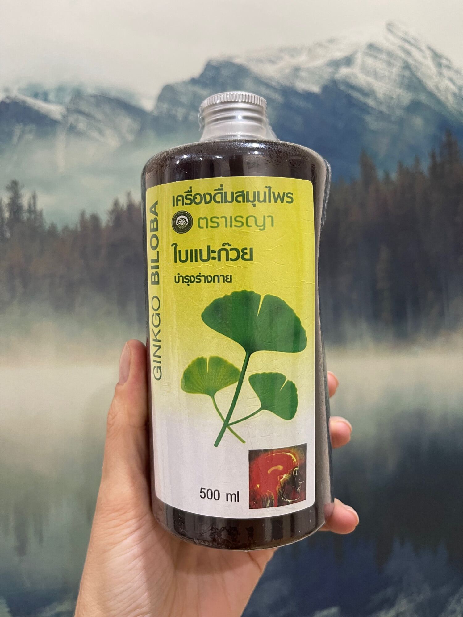 Gingko Biloba juice 500ml Lazada.co.th