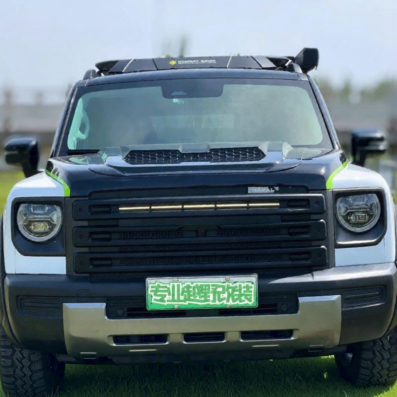 Grille Insect Guard Strip Lights Custom Vehicle Decoration ราคา 10,270 บาท*ส่งฟรี