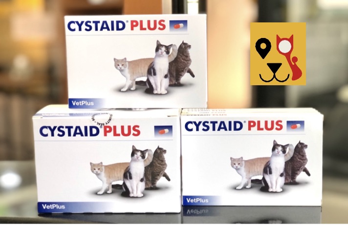 Cystaid Plus ราคาถูก ซื้อออนไลน์ที่ - เม.ย. 2023 