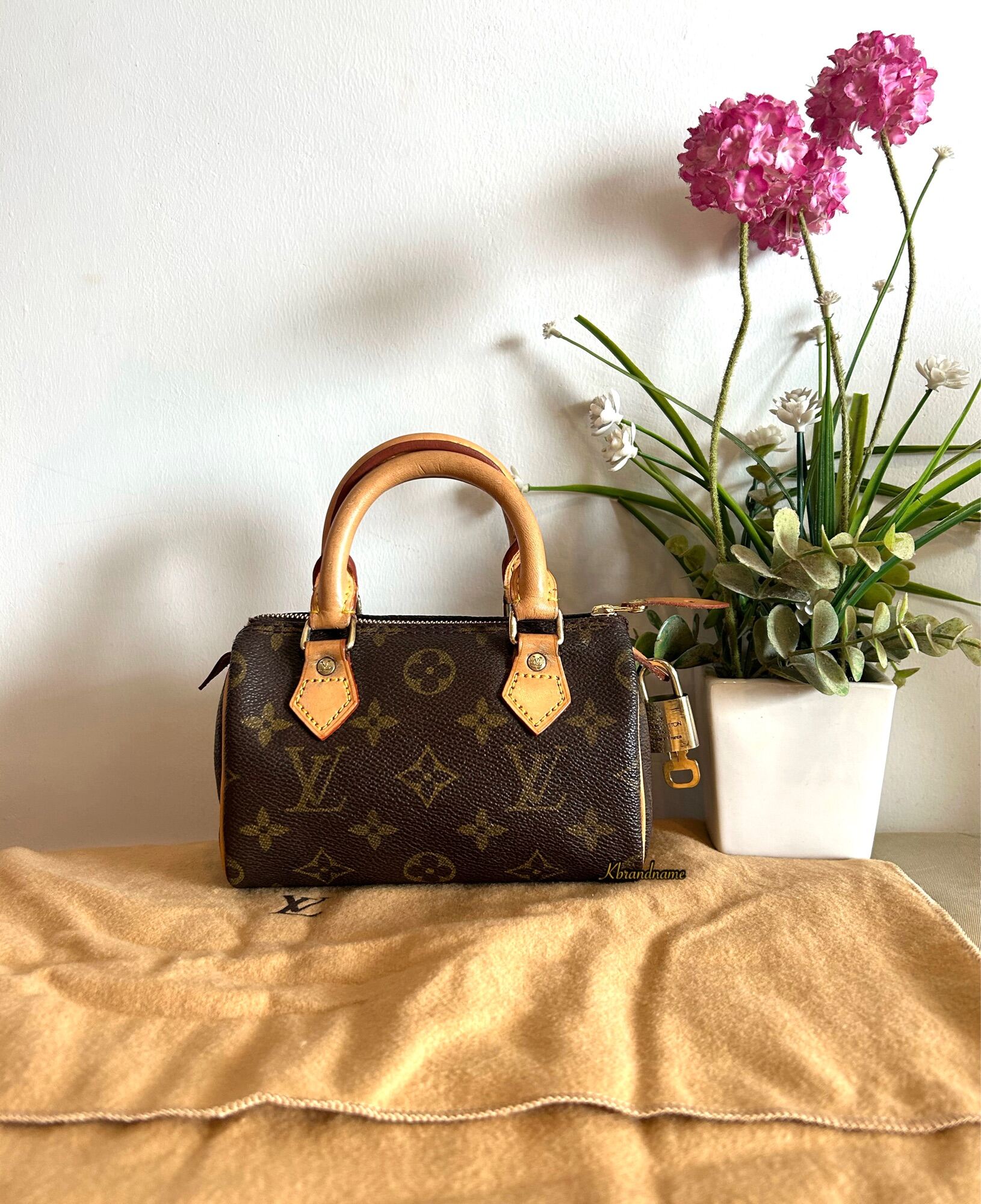 Louis Vuitton Speedy Handbag 358746