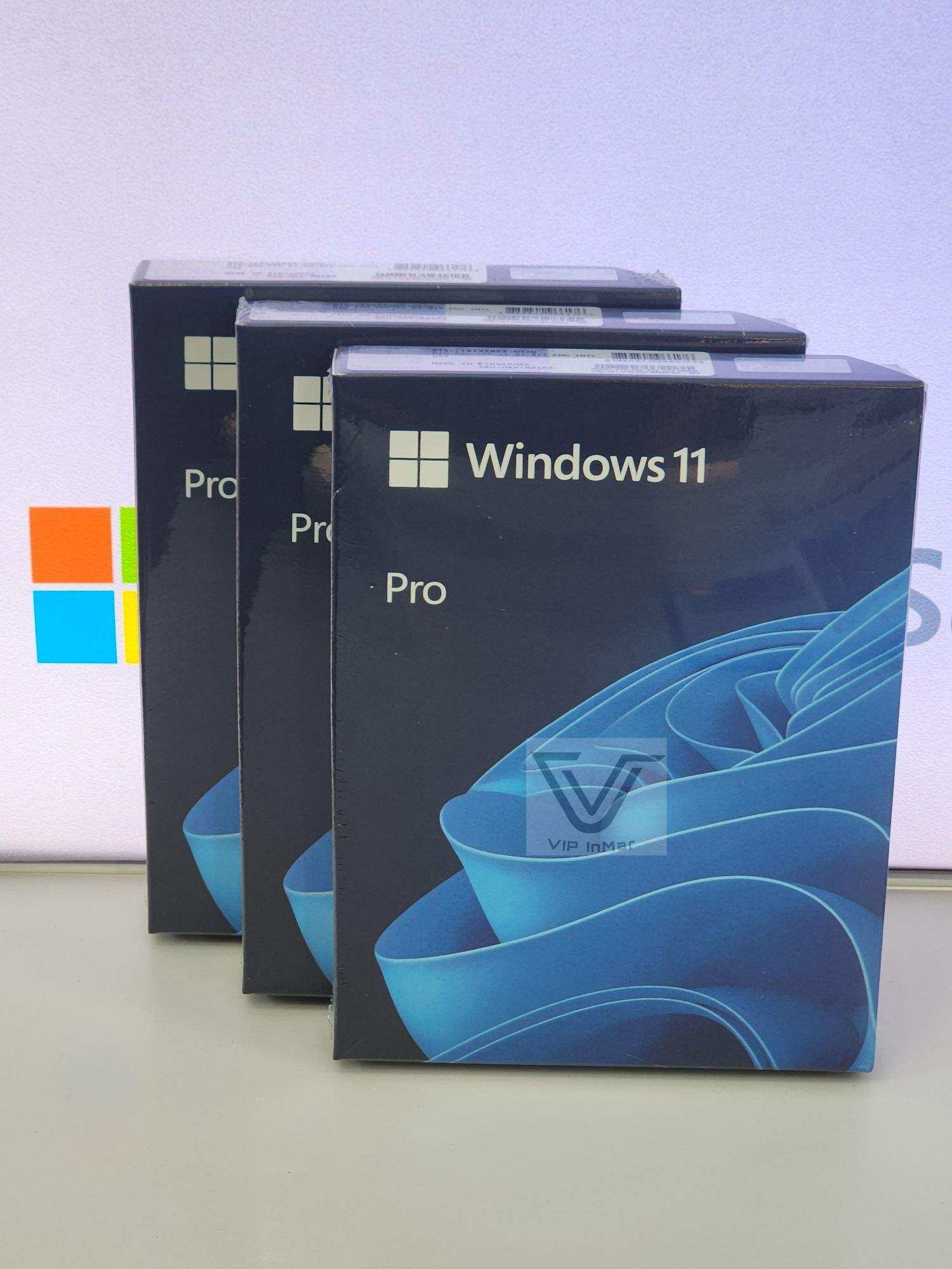 Windows 11 Pro (Hav-00163) 64 Bit Intl USB Full Box (Fpp)