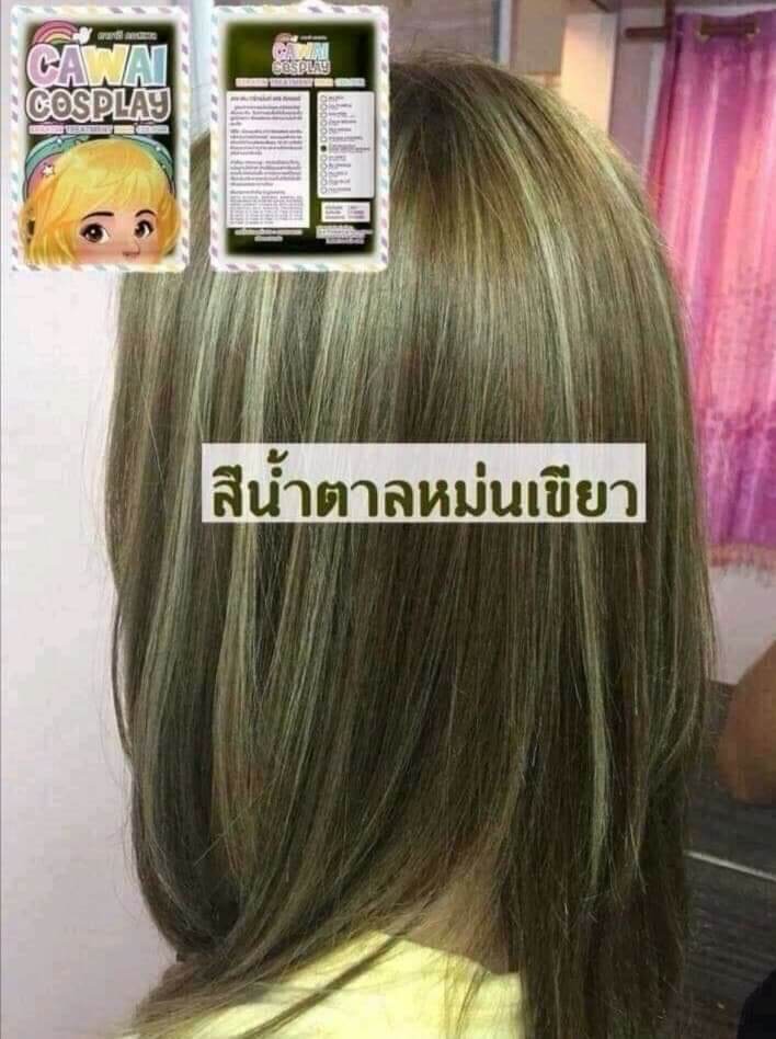 ทรีทเม้นเปลี่ยนสีผมไร้สารเคมี สีน้ำตาลหม่นเขียว | Lazada.Co.Th