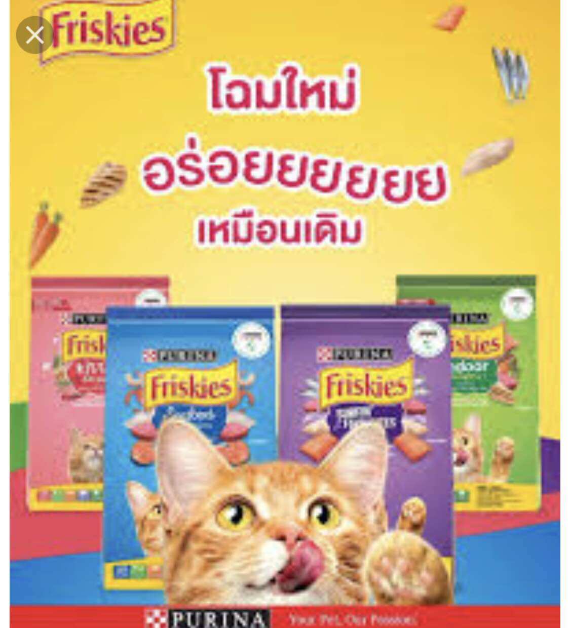 "Purina" Friskies Cat Food, All Breeds, Ages 1 Year and Up, Packaged in Divided Bags, Weight 1 Kg, New Formula, Reduced in Saltiness, a Taste That Cats Love. Packaged in 2-Layer Bags, Extra Thick, Always Fresh, Available in 2 Flavors. ราคา 99 บาท*ส่งฟรี