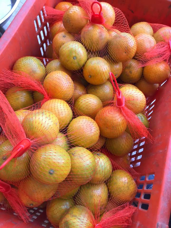 ส้มสายน้ำผึ้ง สดๆจากสวน 1 กิโลกรัม