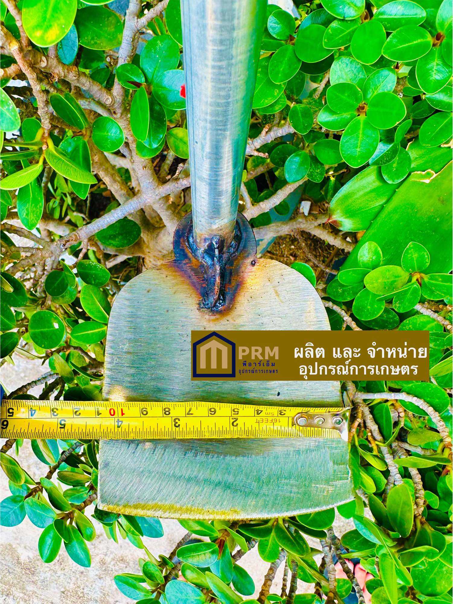 100-cm