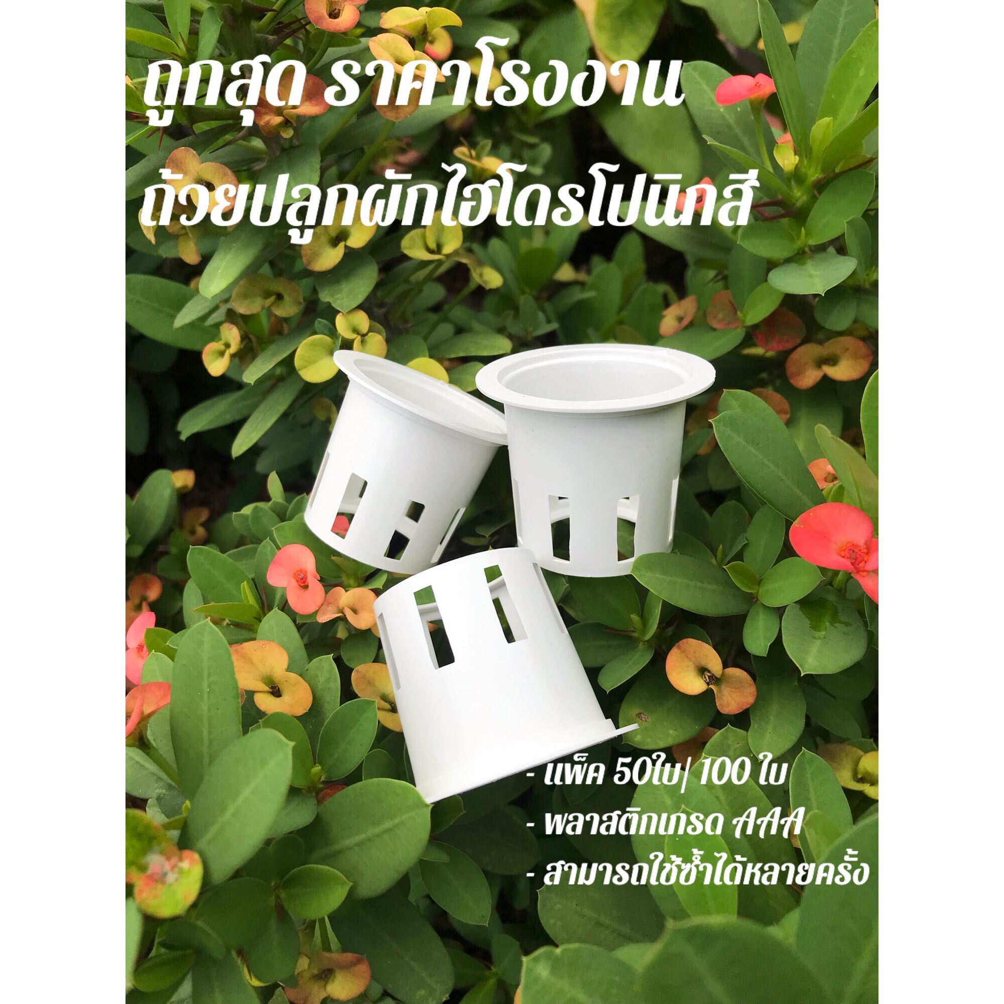 ถ้วยปลูกผักไฮโดรโปนิกส์ราคาถูก แพ๊ค50ใบ/100ใบ จัดส่งทุกวัน