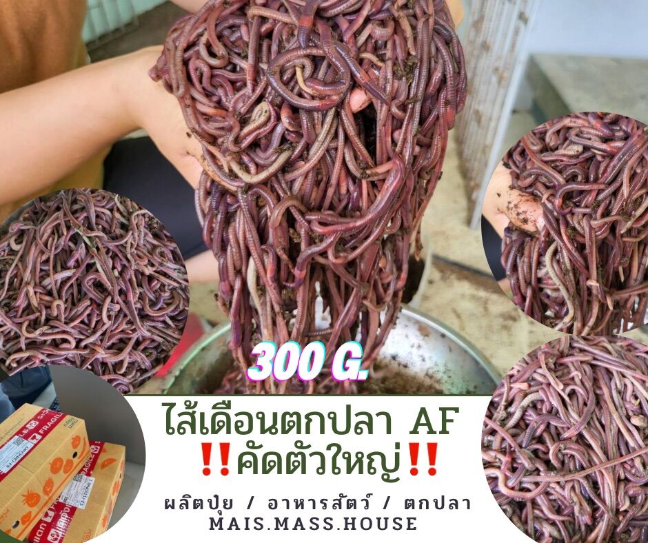 My Image 30