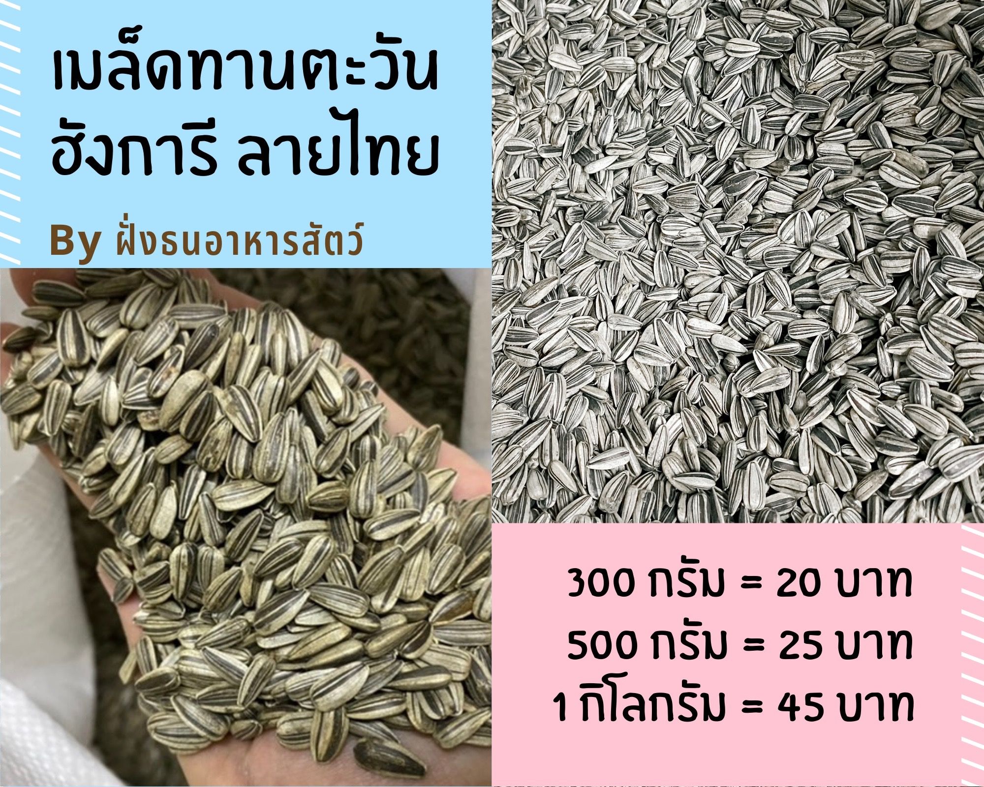 เมล็ดทานตะวันลายไทย ฮังการี สะอาดไร้ฝุ่น แบ่งบรรจุ 1kg *****💥พร้อมส่ง💥