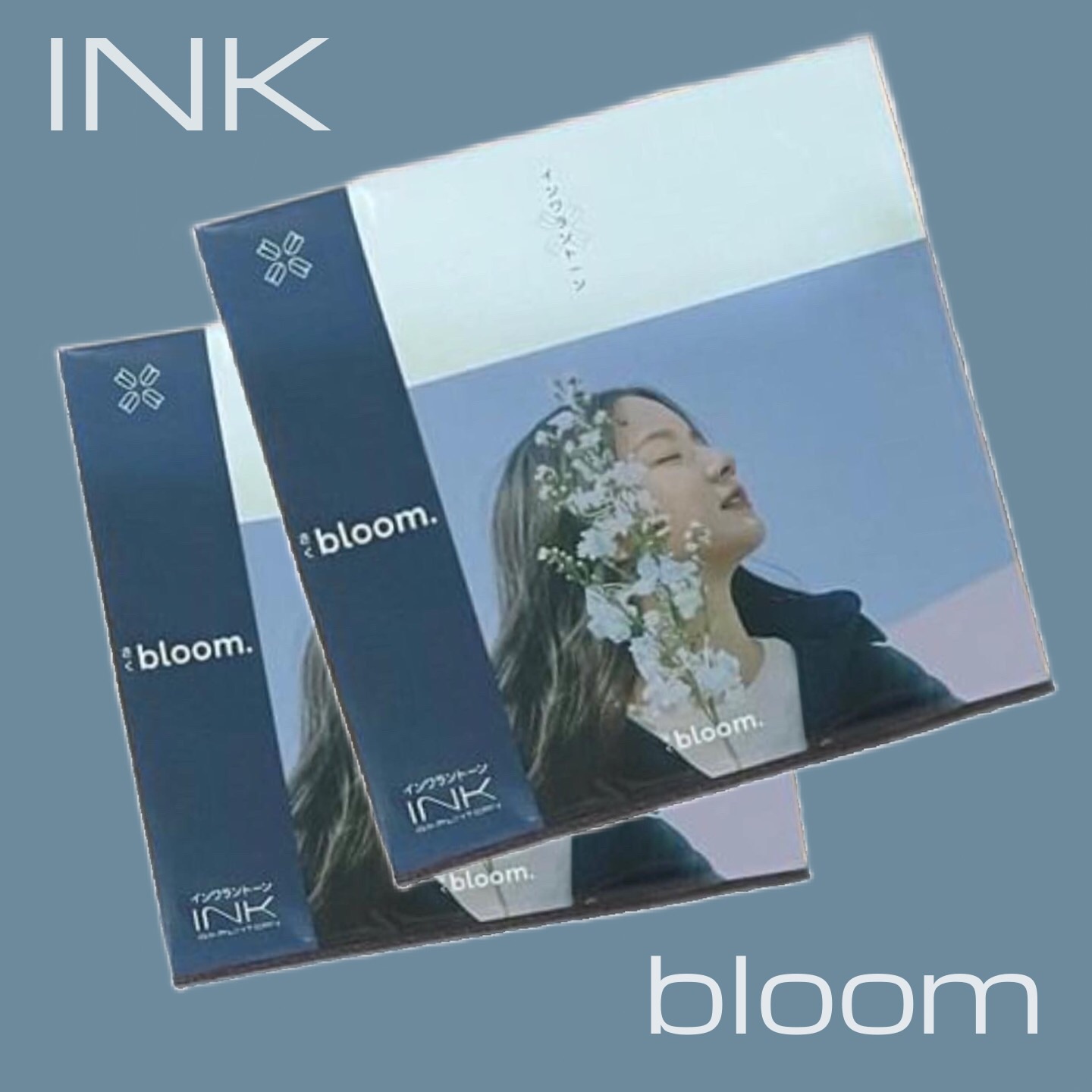 特販 INK WARUNTORN イン ワラントーン 日本盤LPレコード bloom. | www ...