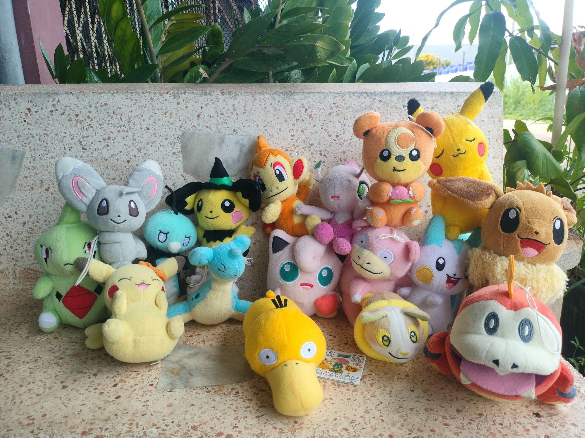 Pokemon Doll, Small Size, Authentic, Second-Hand Japanese Product. ราคา 60 บาท*ส่งฟรี