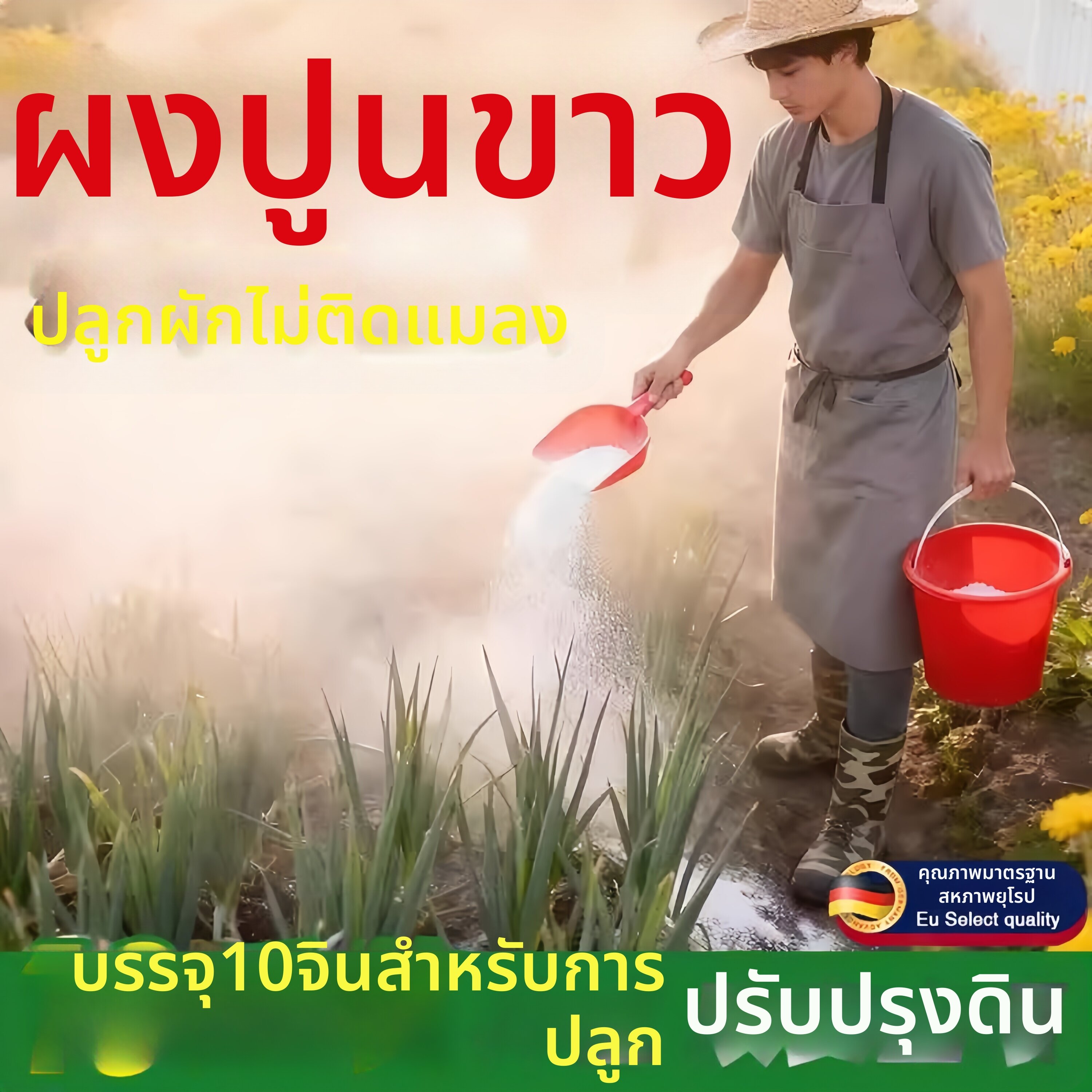 FEIZHUXIANSEN | Disinfectant & Dehumidifying Quicklime Powder For Gardening 10kg ราคา 955 บาท*ส่งฟรี