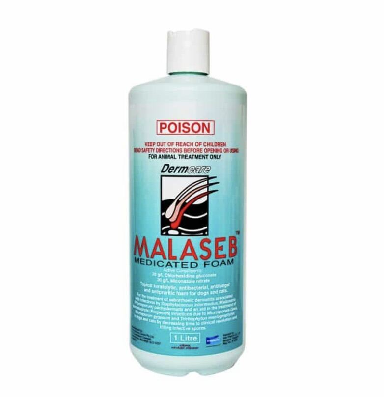 MALASEB Medicated Foam Shampoo 1 Litre (1ขวด)