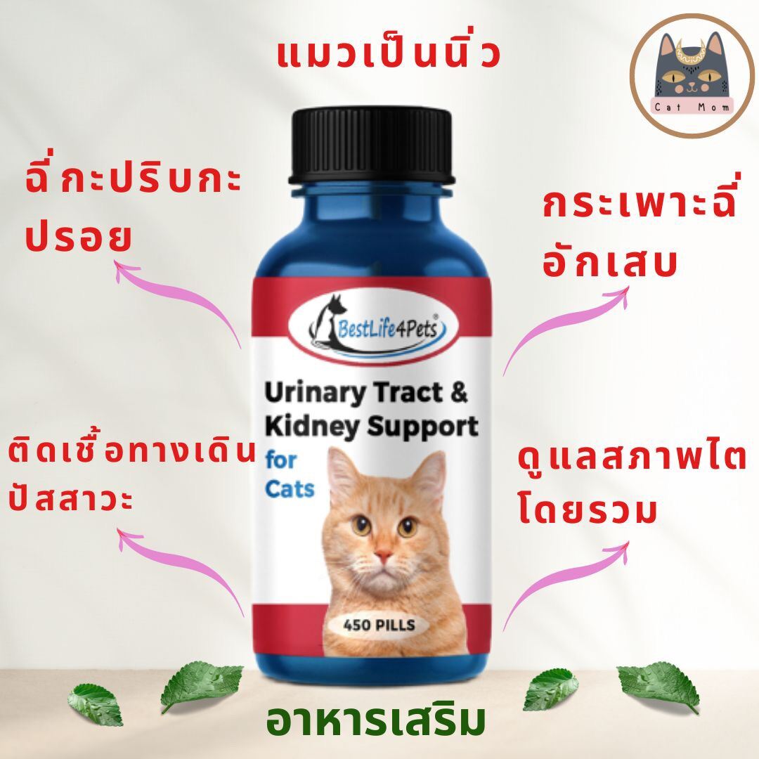 พร้อมส่ง!! Urinary Tract Cat อาหารเสริมสำหรับแมว ดูแล ระบบทางเดิน