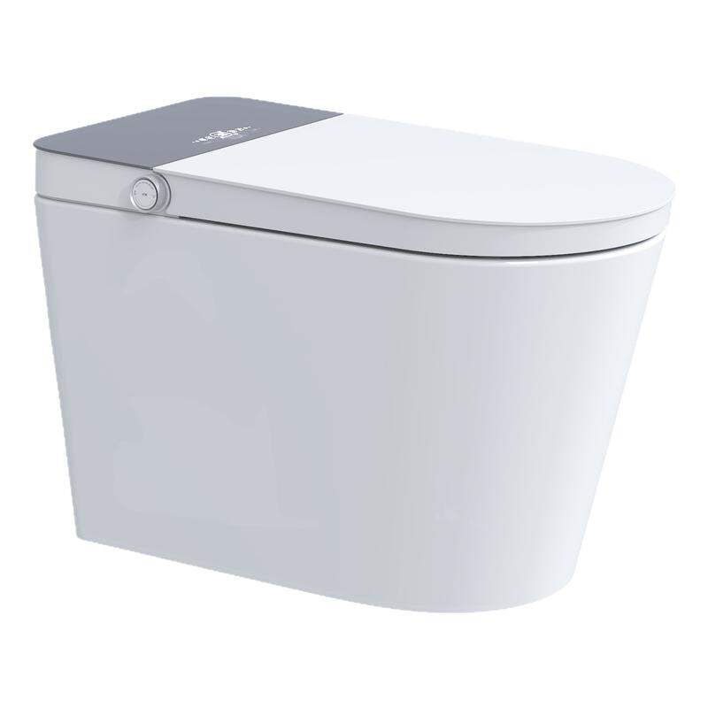 HOROW | Antibacterial Smart Toilet Health Wash ราคา 21,133 บาท*ส่งฟรี
