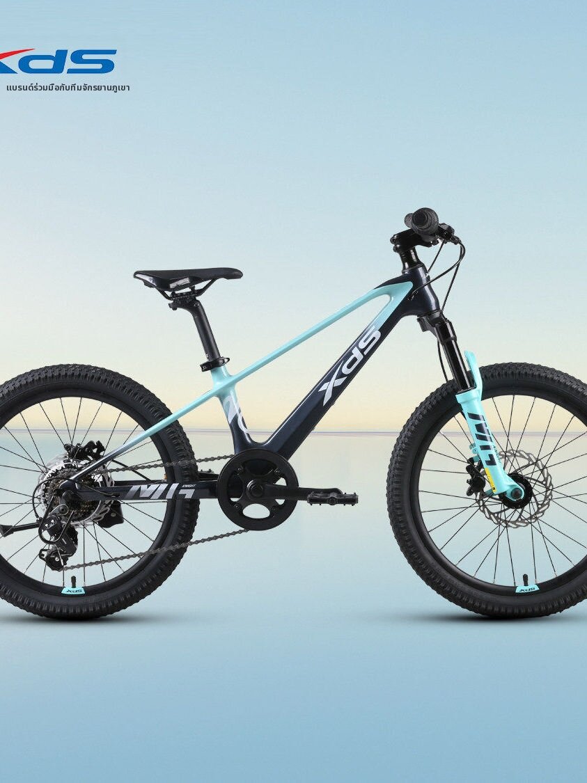 Magnesium Alloy Juvenile Bicycle 20 Inch ราคา 12,624 บาท*ส่งฟรี