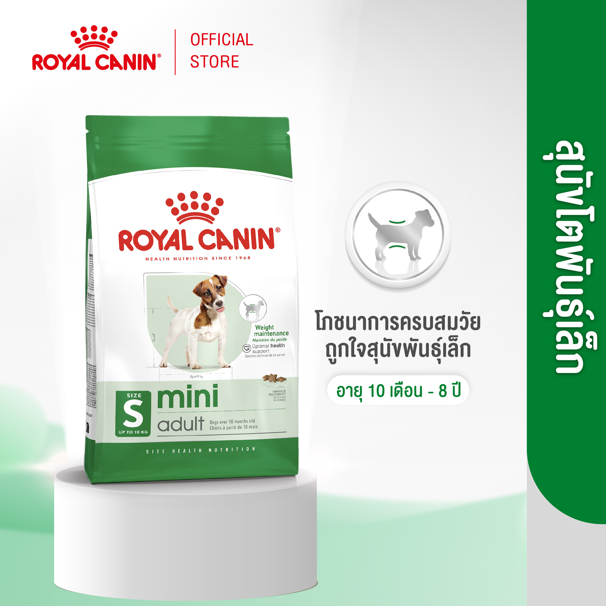 Royal Canin Mini Adult โรยัล คานิน อาหารเม็ดสุนัขโต พันธุ์เล็ก อายุ 10 เดือน – 8ปี (กดเลือกขนาดได้, Dry Dog Food)