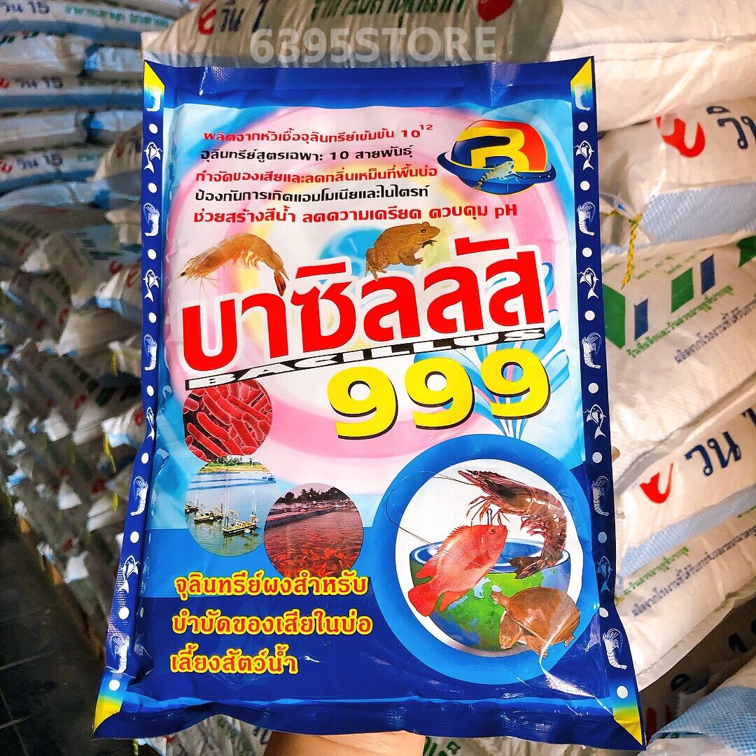 My Image 17