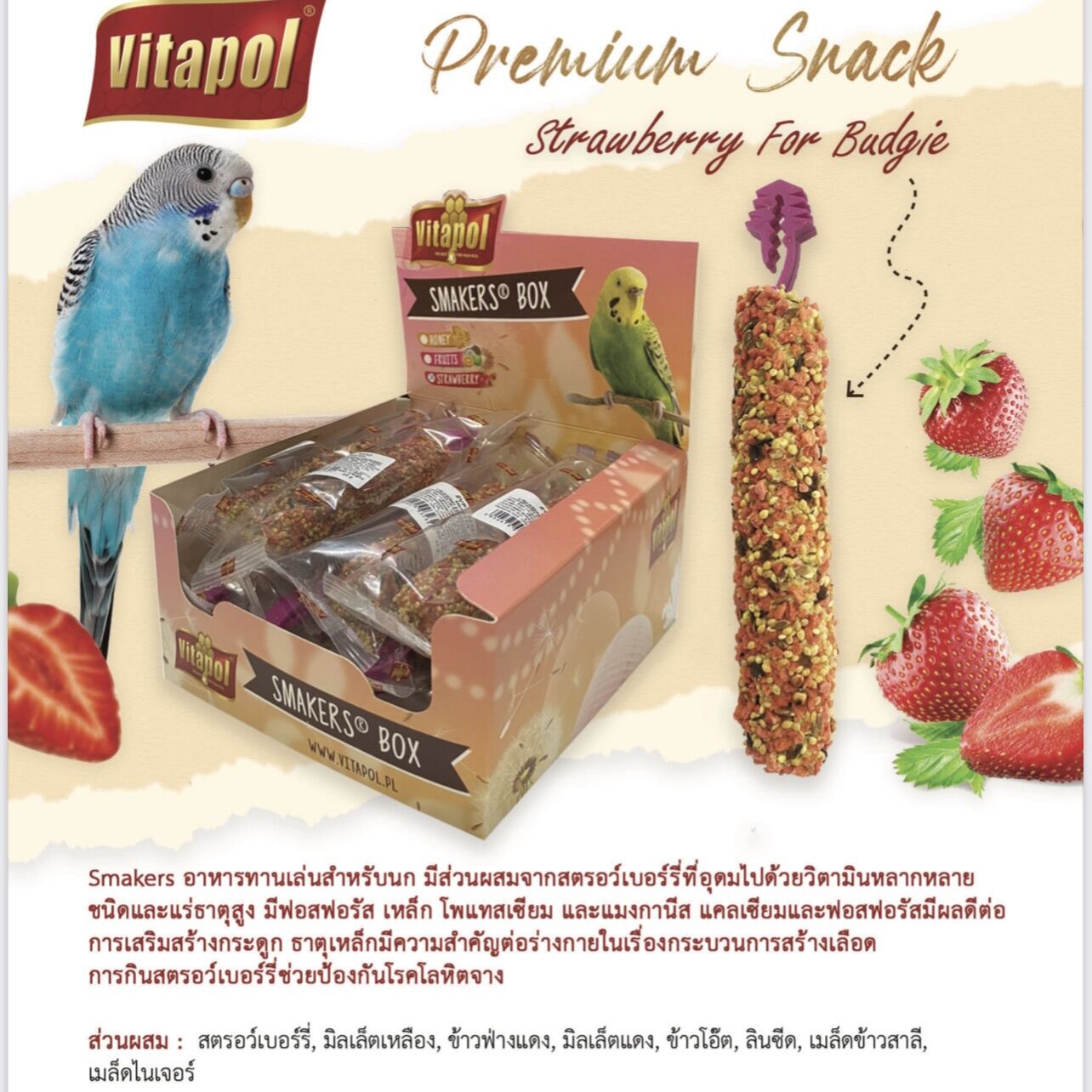 Treat Stick Honey Flavor Multi Pack for Parakeets: Bird Treats: Spray  Millet Treats, Seed, and Treat Sticks