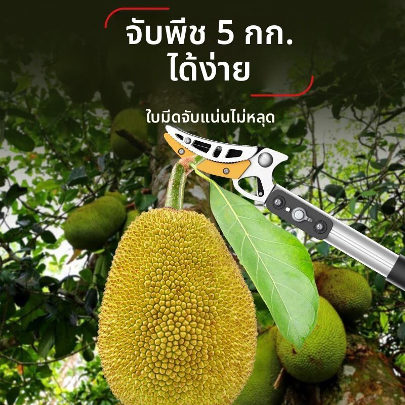 MONLEYTA | Multi-Function Pruning Shears with Extendable Pole for Picking Fruit ราคา 440 บาท*ส่งฟรี