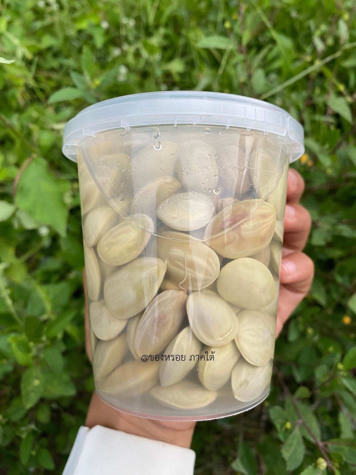 สะตอดอง เม็ดแก่จัด กรอบ เปรี้ยว อร่อย บรรจุกระปุกฝาล็อค‼️ขนาด350 กรัม (ฮาลาล) ราคา 85 บาท*ส่งฟรี