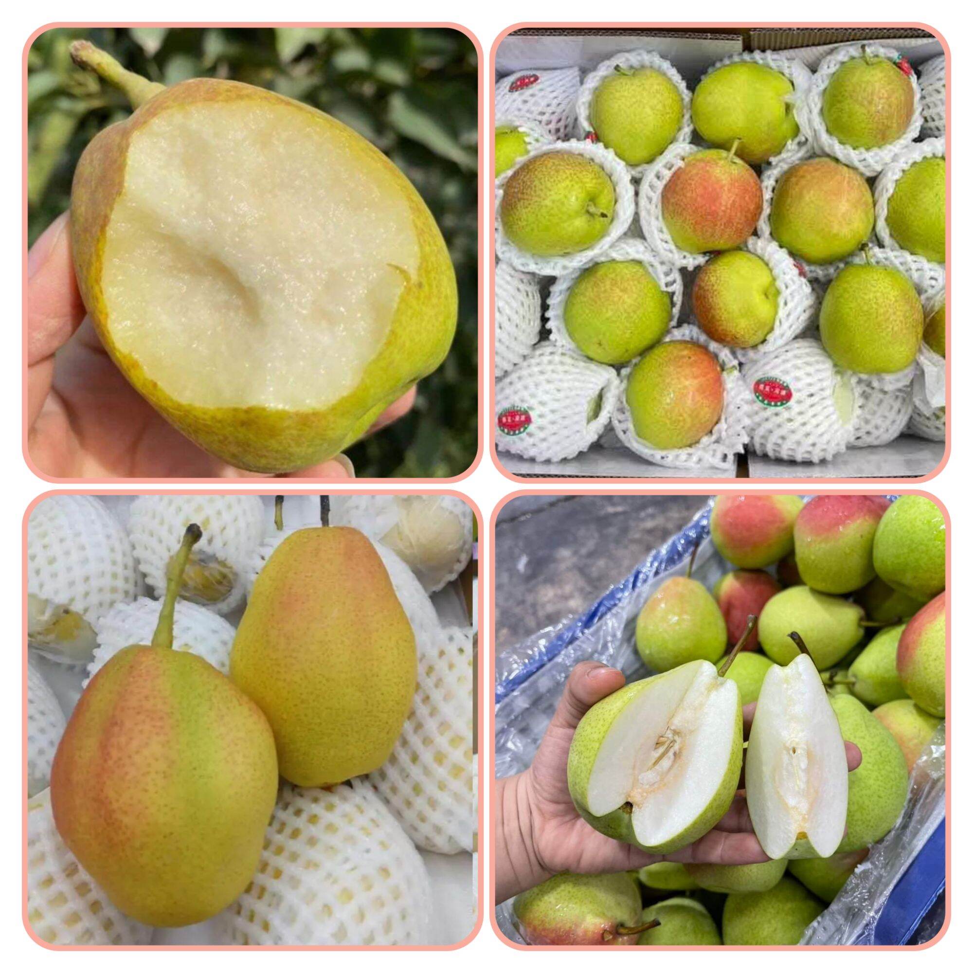 1 Kg. Sweet, Crispy, and Delicious Lychee Fruit. 🍐 🍐 During This Period, the Spread of the Granular Center Has Not Lost Its Brown Color. 🍐 🍐 ราคา 85 บาท*ส่งฟรี