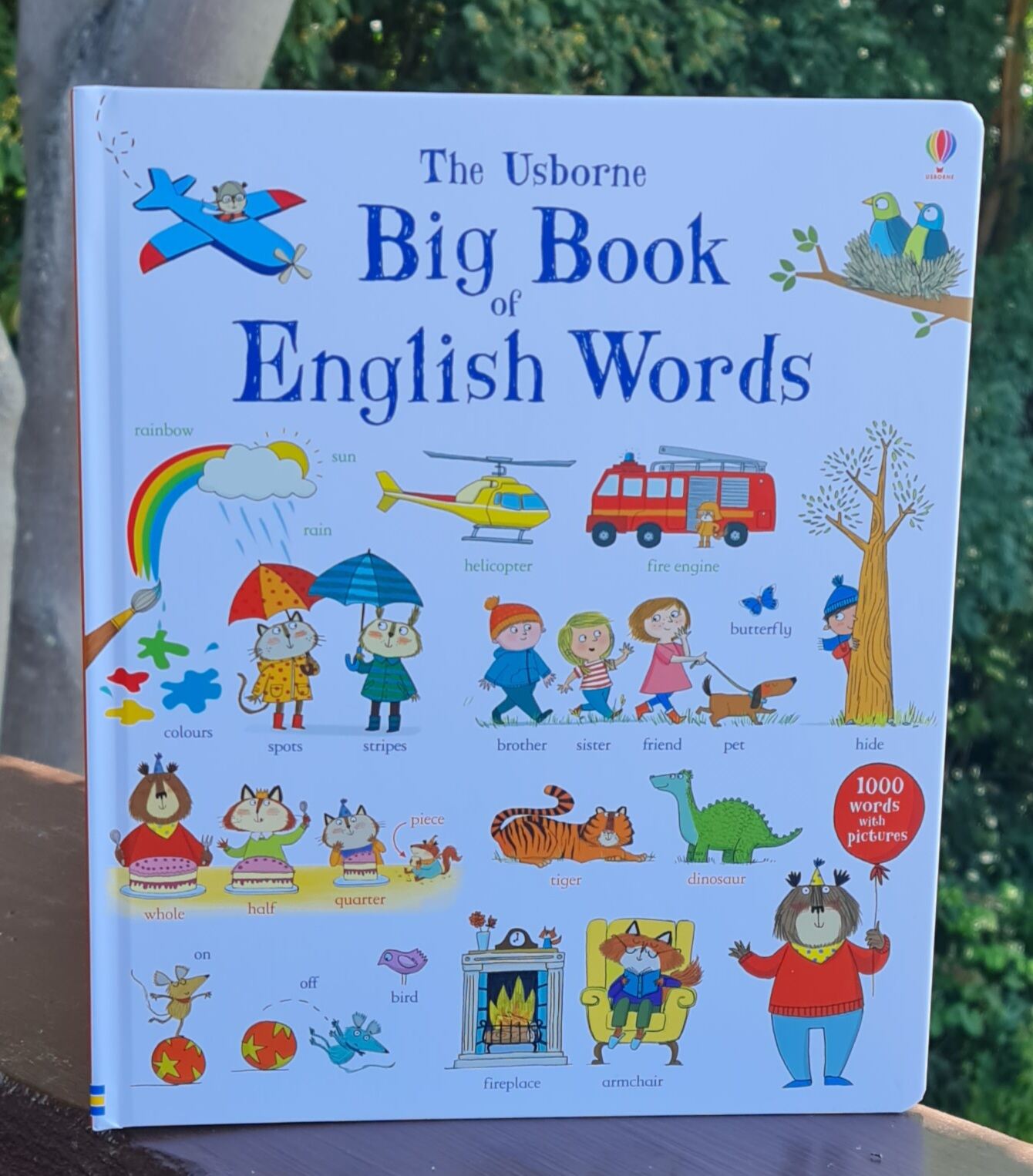 Big Book Of Big English Words Lazada 