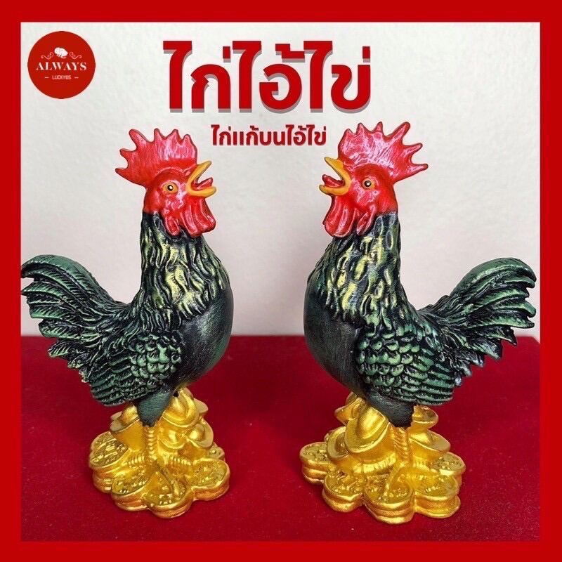 ไก่ไอ้ไข่ ไก่แก้บน ไก่บูชาไอ้ไข่ ไก่มงคล (ขายเป็นคู่)