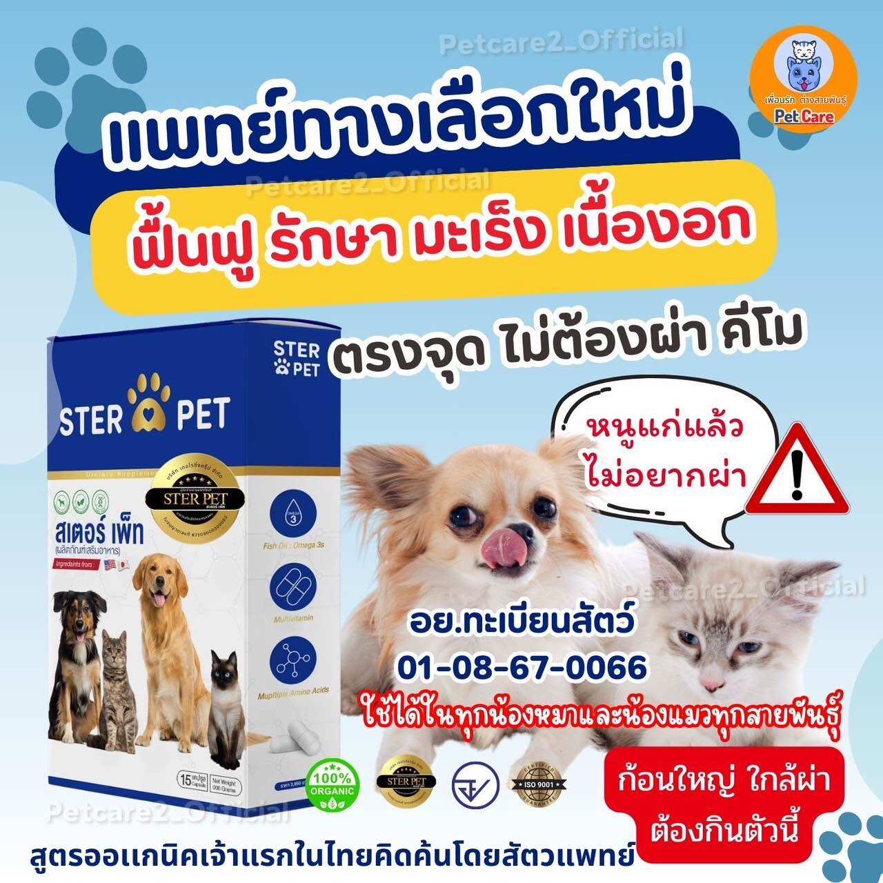 <ส่งจากบริษัท > สเตอร์เพ็ท ( แพทย์ทางเลือก )มะเร็ง เนื้องอก แผลประทุ ในน้องหมาแมว ราคา 2,000 บาท*ส่งฟรี