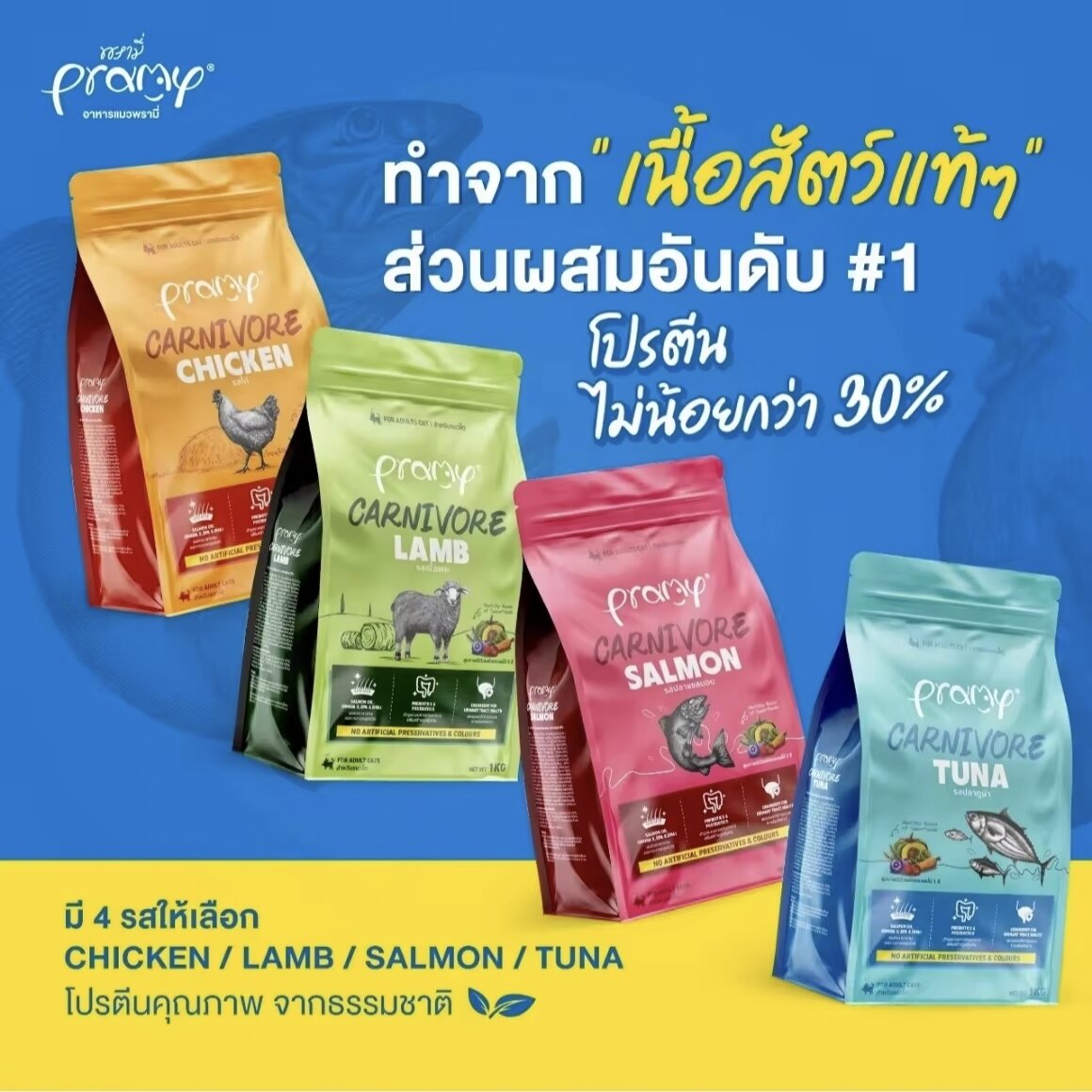 (0.8-1 kg) Pramy Carnivore Cat Food Pellets, Pramy Carnivore, Formula Focused on Real Meat, High in Protein, No Preservatives. ราคา 133 บาท*ส่งฟรี