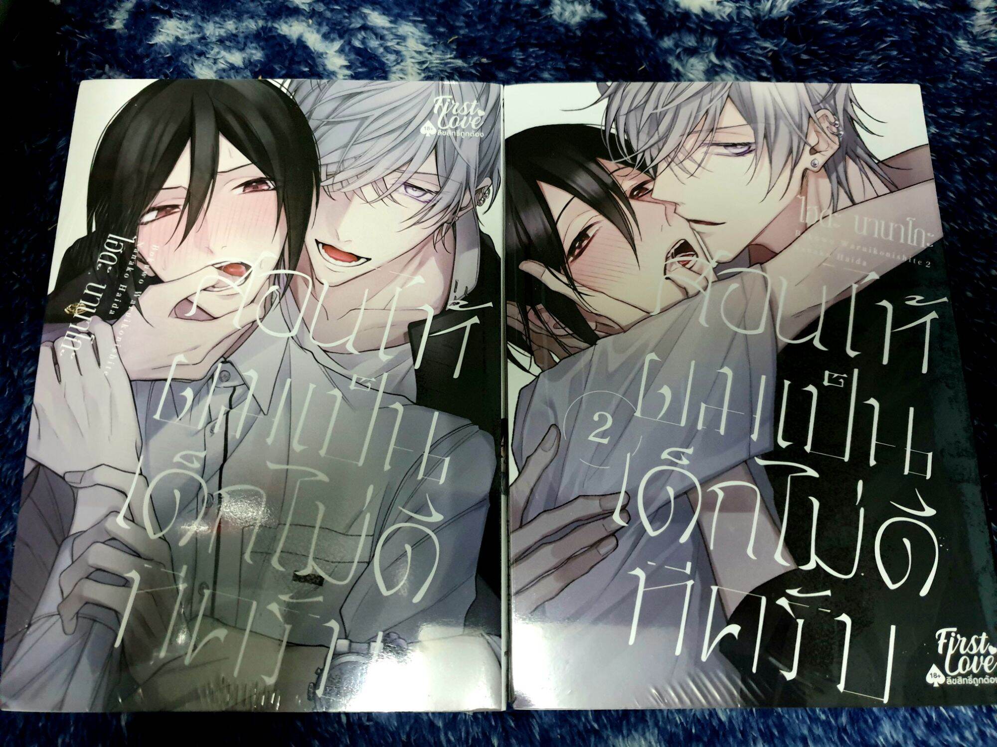 (การ์ตูนวาย ในซีล) สอนให้ผมเป็นเด็กไม่ดีทีครับ (1-2เล่มจบ) โดย HAIDA nanako