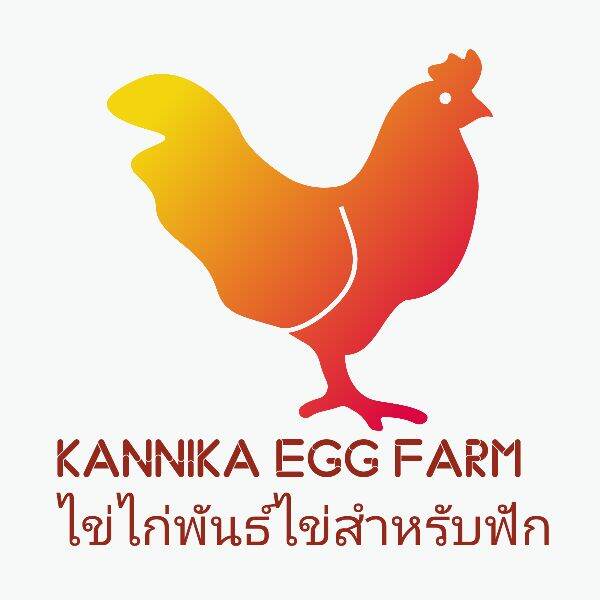 ไข่ไก่สำหรับนำไปฟักเองพันธุ์ไข่ โรดไอแลนด์10ฟอง