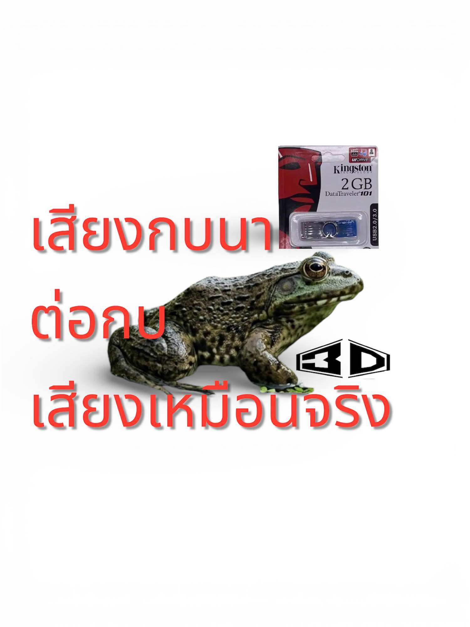 The Sound of Crickets, the Sound of Frogs, Sounds Just Like the Real Thing. Sound with Flash Drive, Destination Included. ราคา 120 บาท*ส่งฟรี