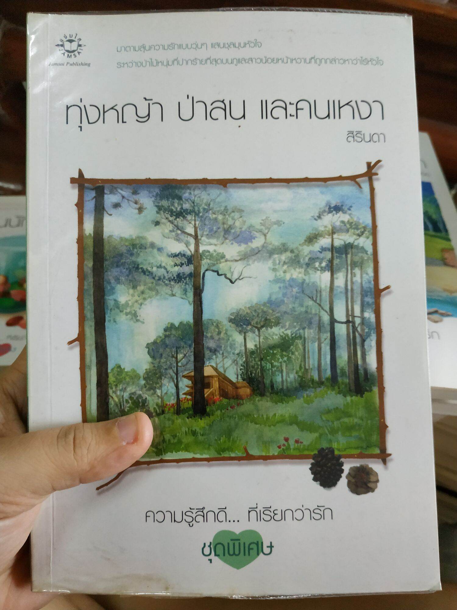 (หนังสือนิยาย) ทุ่งหญ้า ป่าสน และคนเหงา สภาพดี