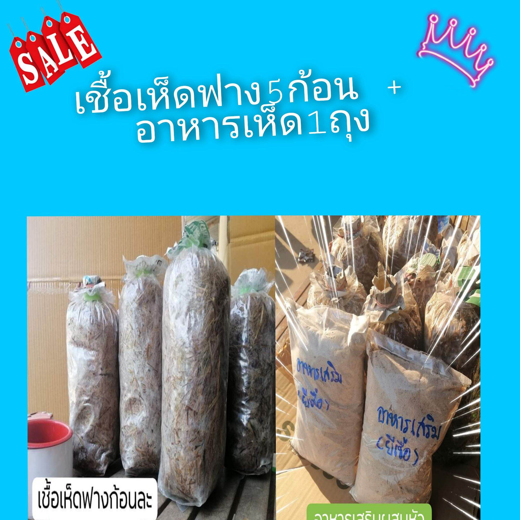 เชื้อเห็ดฟาง 5 ก้อนอาหารเสริม 1 ถุง 99บาท