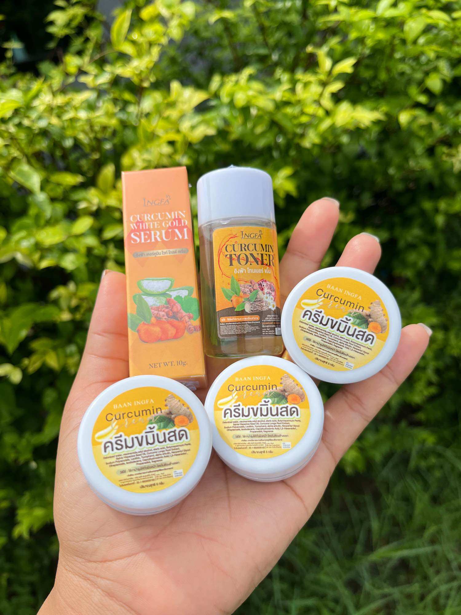 Fresh Turmeric Cream, Ying Fa, 5 Pieces‼️Special Price 199.-‼️Limited Quantity. 🔥 ราคา 180 บาท*ส่งฟรี