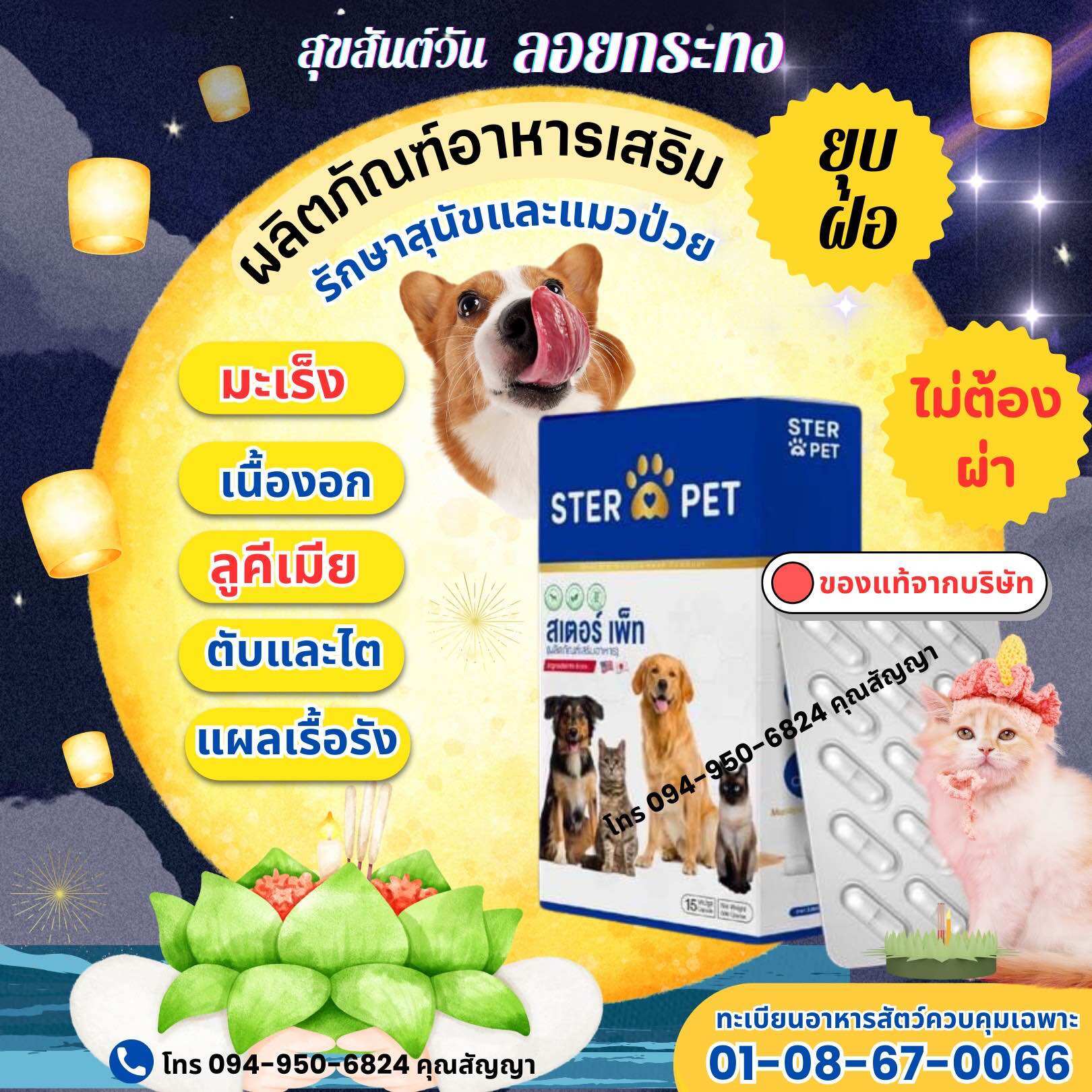 สเตอร์เพ็ท ดูแลน้องหมาแมว ครบวงจร อุ่นใจเมื่อมีติดบ้าน (ของแท้บริษัท) ⭐️ ราคา 2,000 บาท*ส่งฟรี