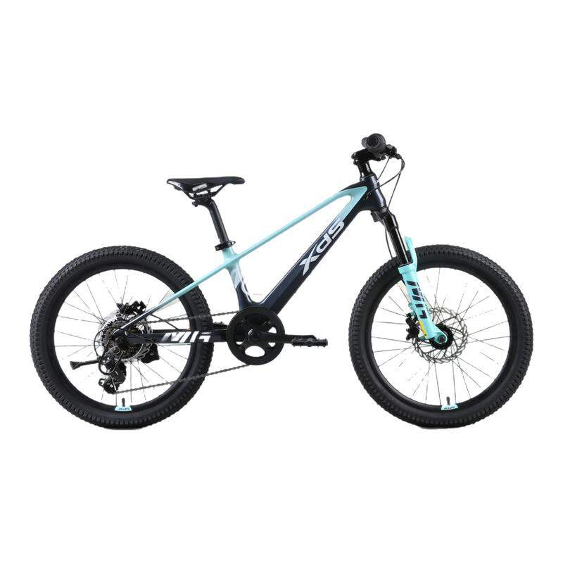 Youth Mountain Bicycle 20 Inch ราคา 13,532 บาท*ส่งฟรี