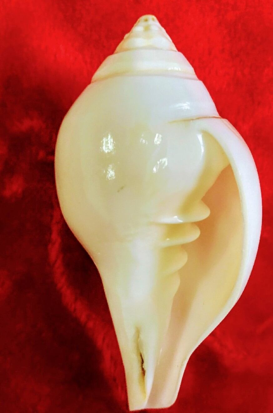 S9dc5aab5bf034be49c9338b7878c8fd9J.jpg