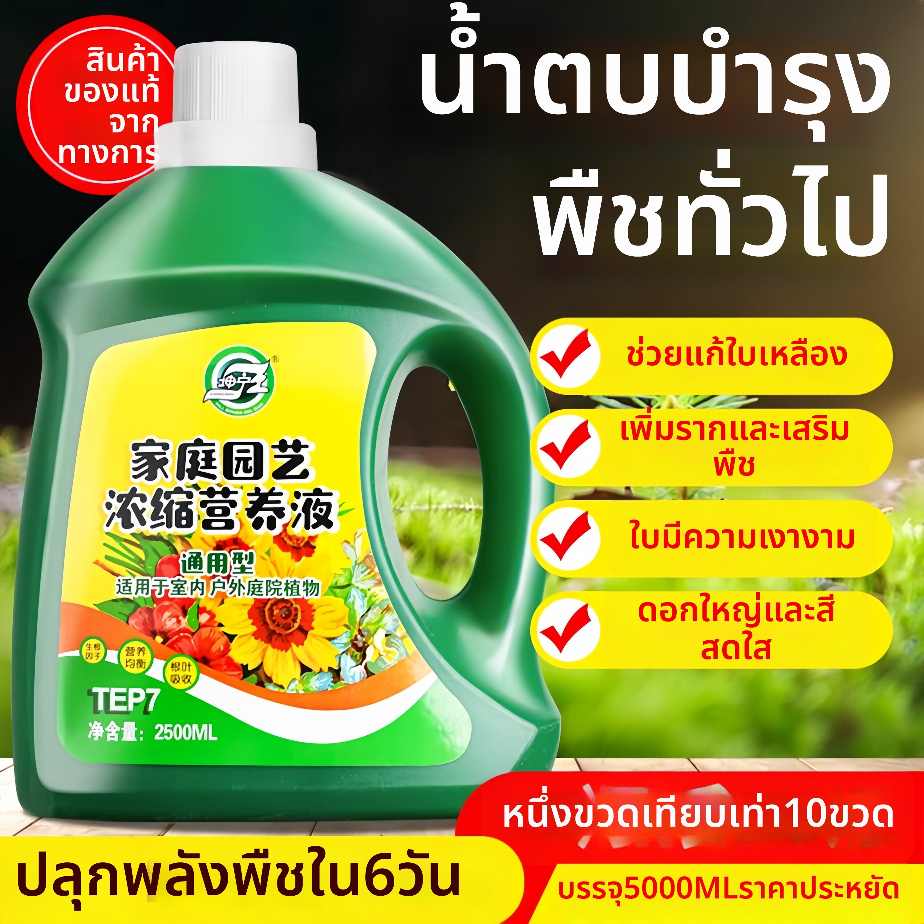 FEIZHUXIANSEN | Universal Plant Fertilizer ราคา 1,050 บาท*ส่งฟรี