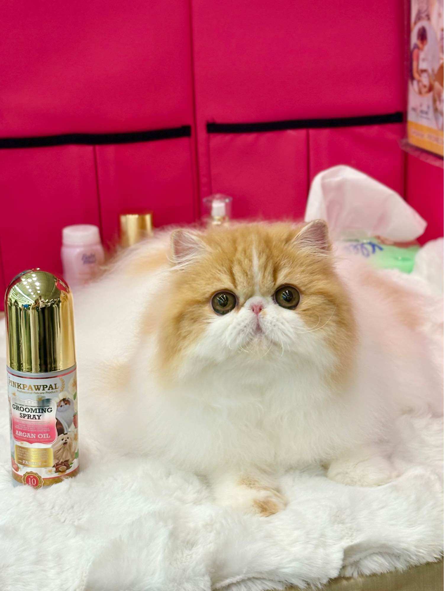 Pinkpawpal Treatment Spray for Soft, Beautiful, Long Hair, Reduces Tangles, Dry Hair, Not Sticky, Smells Good for a Long Time, Like Having a Bath Again, 145 ml 3800 ml ราคา 690 บาท*ส่งฟรี